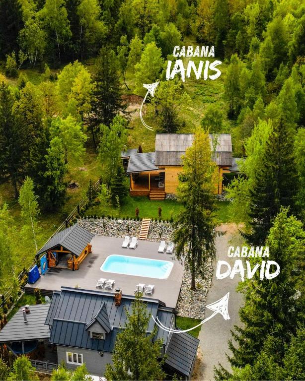 an aerial view of a house with a swimming pool at Cabanele Doi Frati in Dealu Negru
