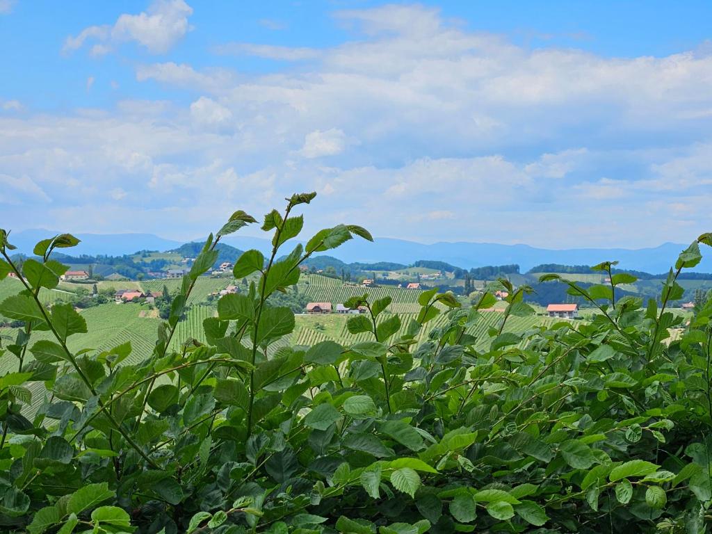 Paesaggio naturale nelle vicinanze della casa vacanze