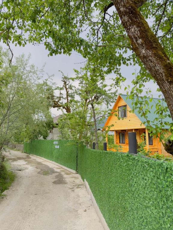 Příroda nedaleko apartmánu