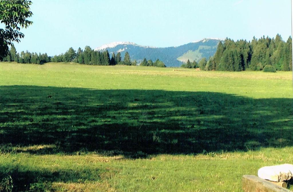 a large field with a large shadow of a tree at La Clé des Champs in Les Fourgs