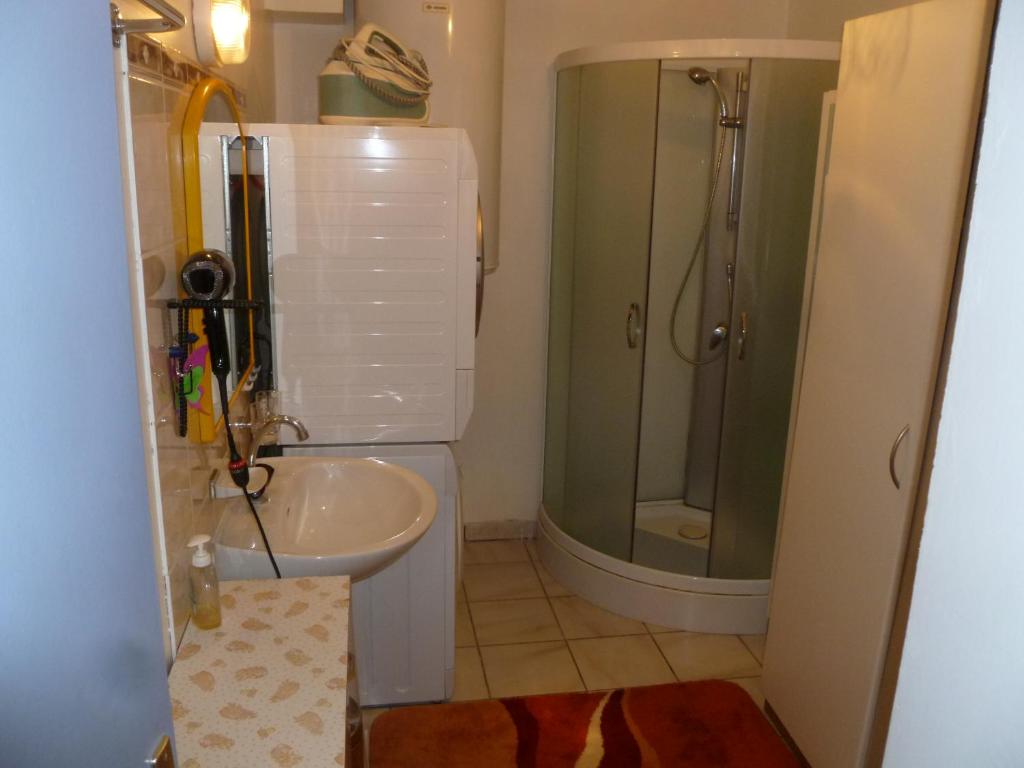 a small bathroom with a sink and a shower at La Clé des Champs in Les Fourgs