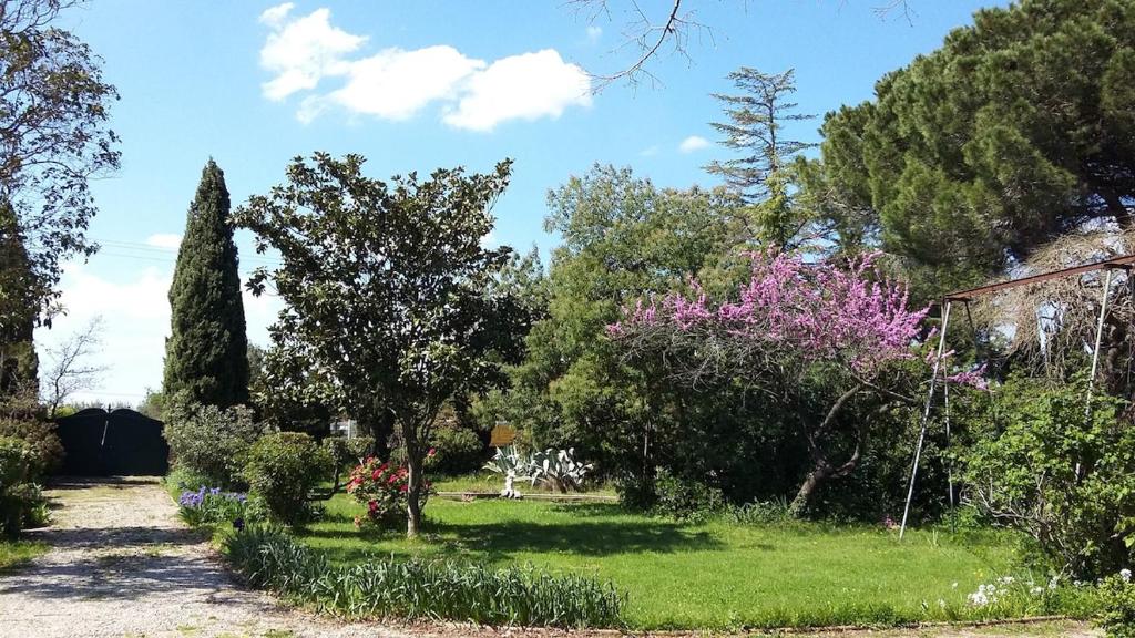 un jardin avec des arbres et des fleurs par beau temps dans l'établissement Gite Saint Irénée, à Béziers