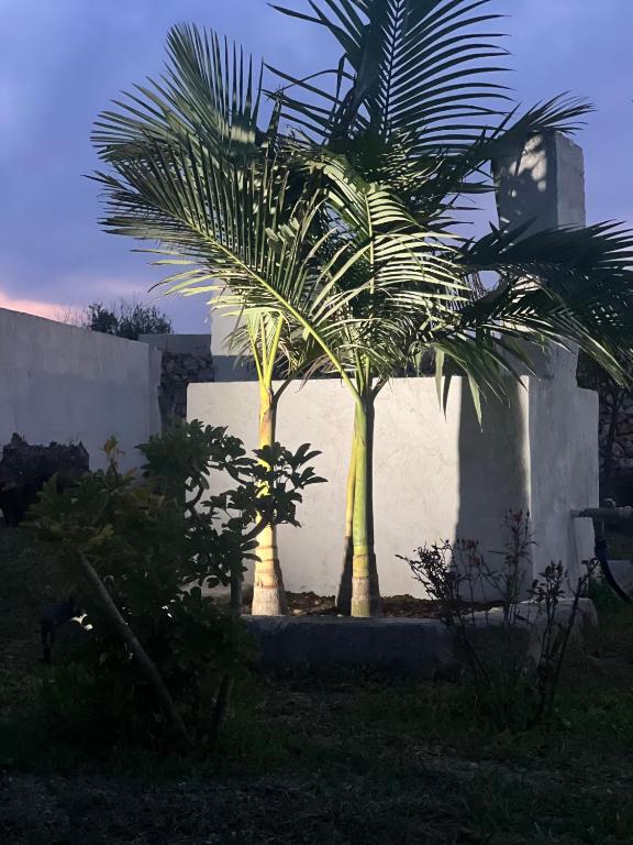 Zahrada ubytování Salento Villa Don Peppino