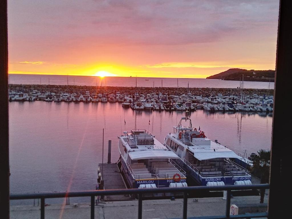 un groupe de bateaux amarrés dans une marina au coucher du soleil dans l'établissement Studio Vue magique pleine mer, port, cap Béar, Racou, Climatisé, à Argelès-sur-Mer