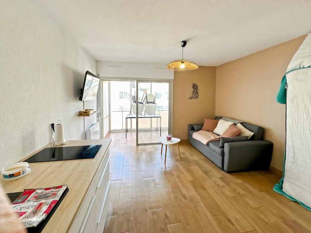 un salon avec un canapé et une table dans l'établissement Appartement cosy à Balaruc-les-Bains, à Balaruc-les-Bains