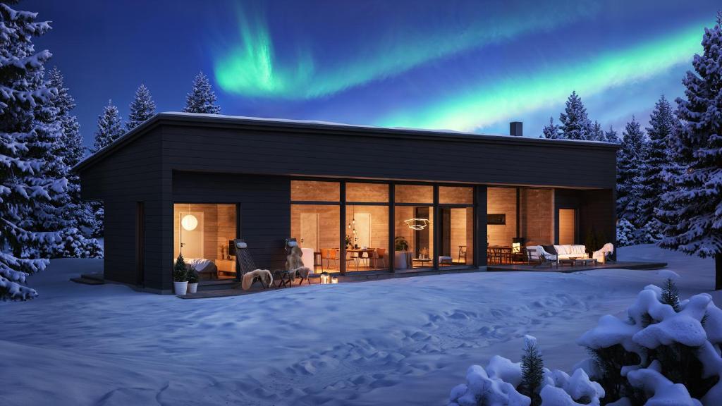 Aurora Horizon trong mùa đông
