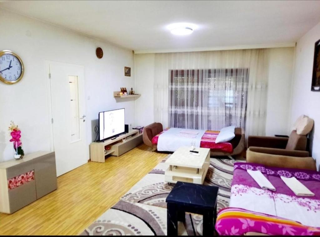 TV a/nebo společenská místnost v ubytování Bus Station Hostel