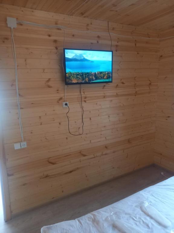 TV a/nebo společenská místnost v ubytování Пляжный дом
