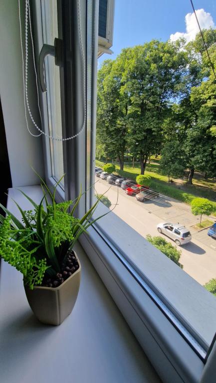 Fotografie z fotogalerie ubytování Park Oaza v destinaci Čačak