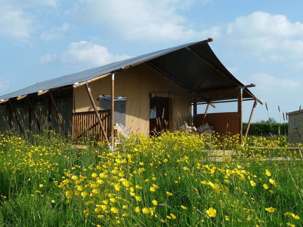 an old house in a field of flowers at Russet Lodge in Glastonbury