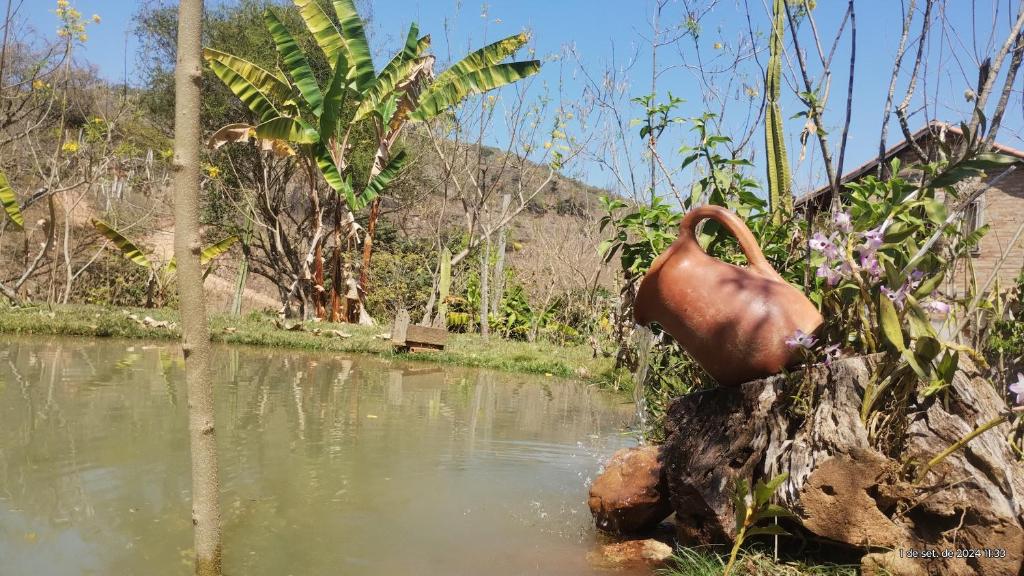 a jug sitting on top of a body of water at Camping e pousada dos sonhos in Carvalhos