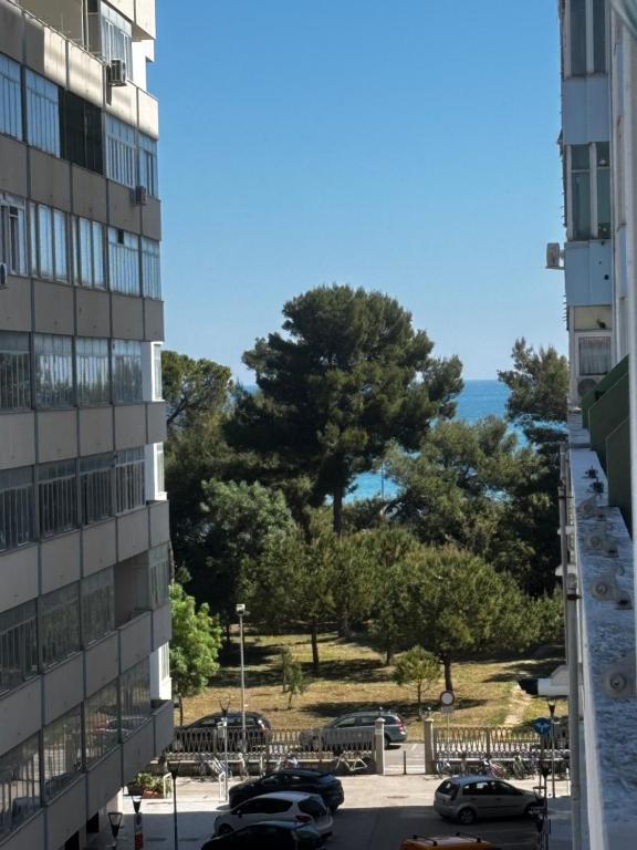 Blick auf einen Baum von einem Gebäude in der Unterkunft Brezza Marina in Montesilvano