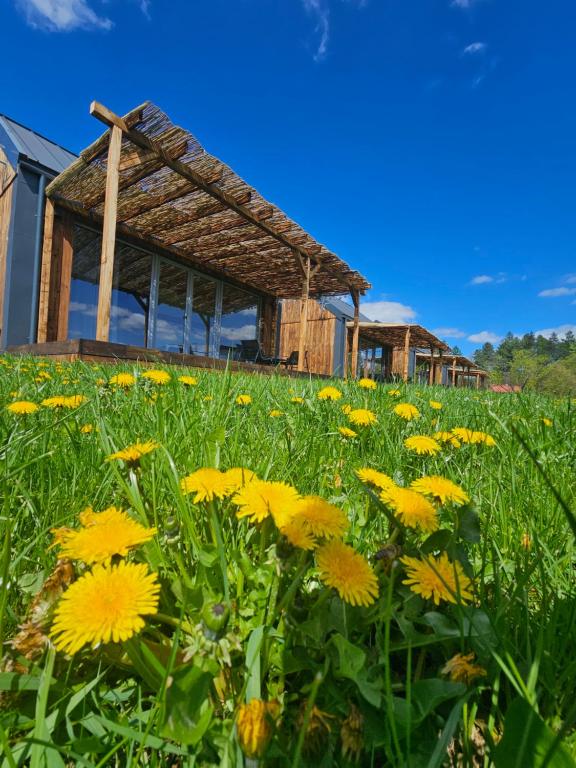 Zahrada ubytování Widokowe Stodoły Bieszczady