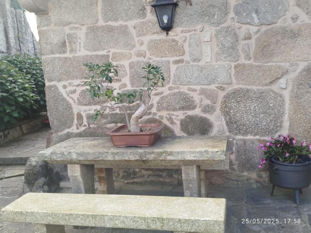 Fotografia z galérie ubytovania O Apartamento do Xanza, ideal para parejas ADAPTADO MOVILIDAD REDUCIDA v destinácii Meis