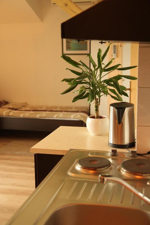 Kuchyň nebo kuchyňský kout v ubytování Apartments Strmac