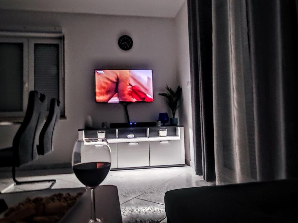 TV a/nebo společenská místnost v ubytování Roko