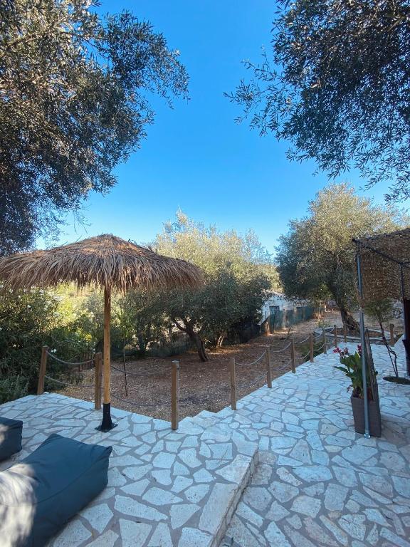 Fotografie z fotogalerie ubytování Moxy Paxos Apartments v destinaci Gaios
