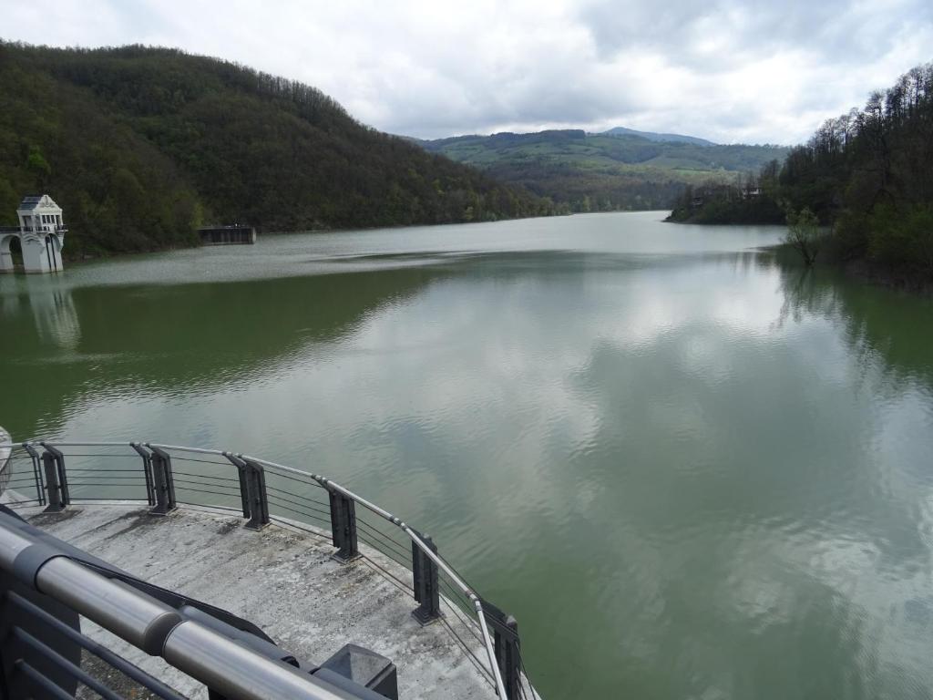 Příroda nedaleko apartmánu