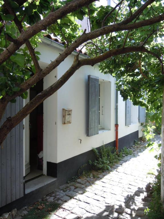 une maison avec des murs blancs et un arbre dans l'établissement Charmante Maison Saint-Martin-de-Ré, à Saint-Martin-de-Ré