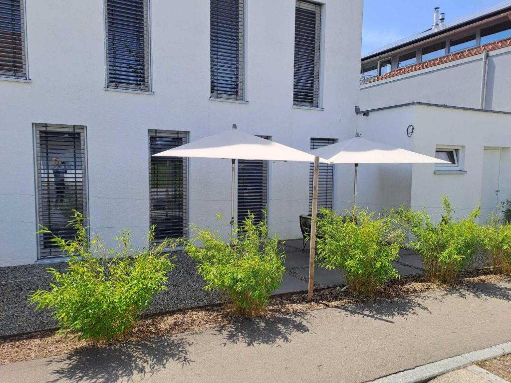 two white umbrellas in front of a building at Ferienwohnung Winter in Wasserburg am Bodensee