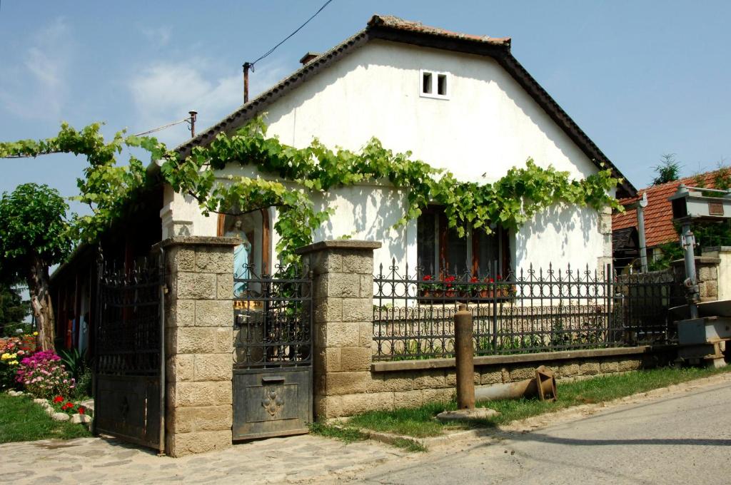 タルツァルにあるPataky Borportaの小さな白い家