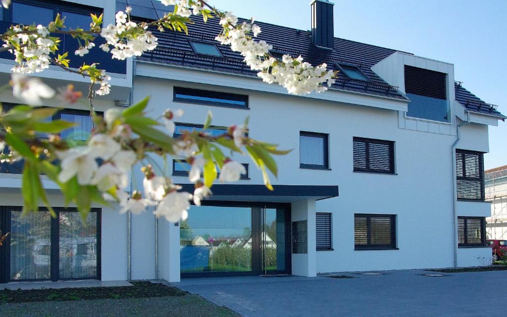 ヴァッサーブルクにあるFerienhaus Seezeichenの白い窓と花の白い家