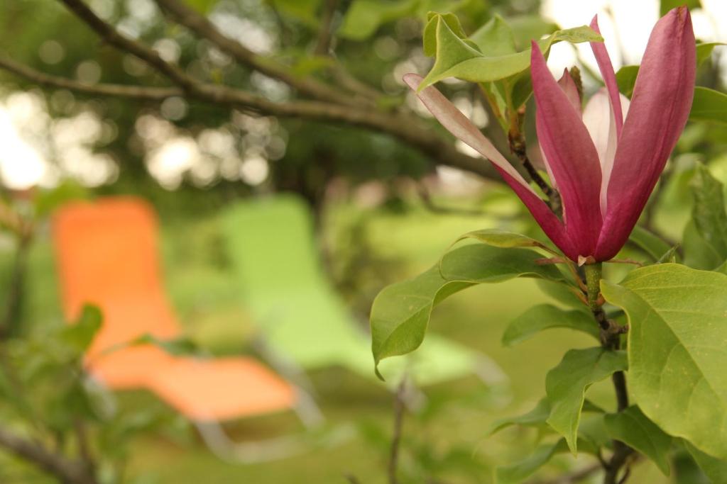 Apartments Strmac - 5