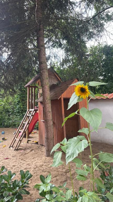 Herní místnost nebo prostor pro děti v ubytování Penzion Troníček