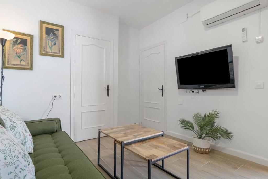 TV a/nebo společenská místnost v ubytování Apartamento Mayo 1