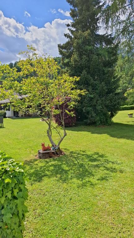 Zahrada ubytování B&B Viering