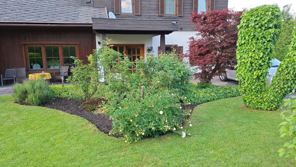 Zahrada ubytování B&B Viering