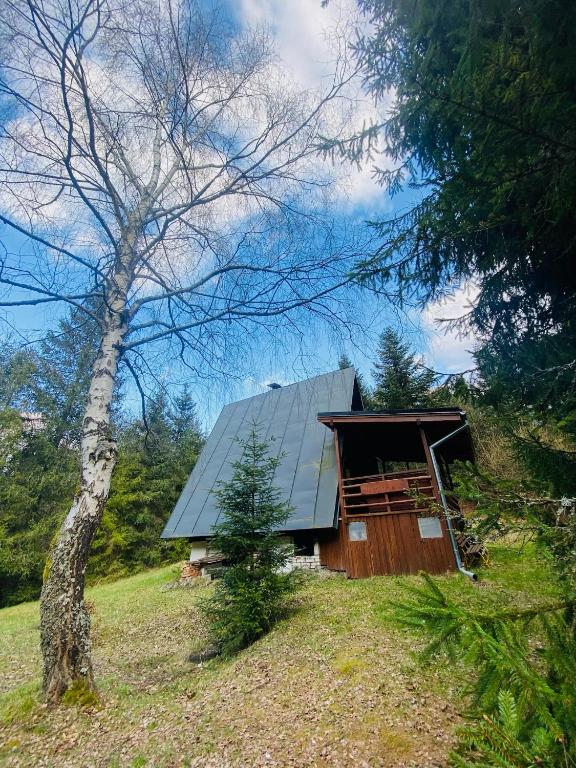 a house with a green roof on a hill at Lenivka in Hnilčík