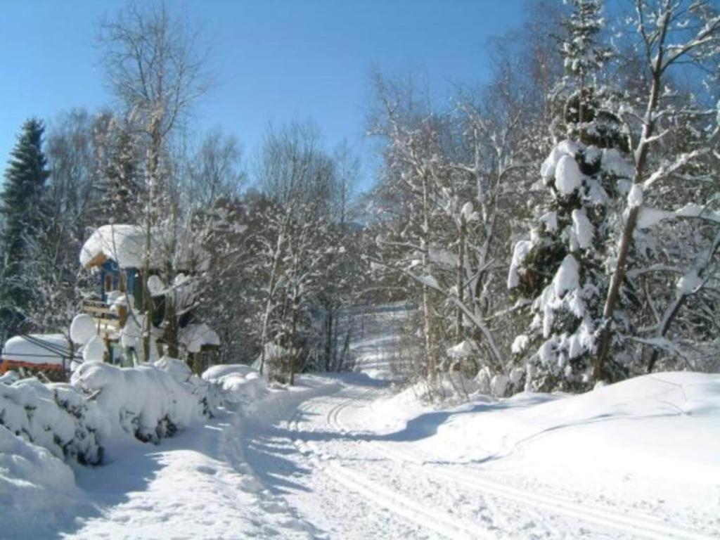 Cottage in Rinchnach near Arbersee v zimě