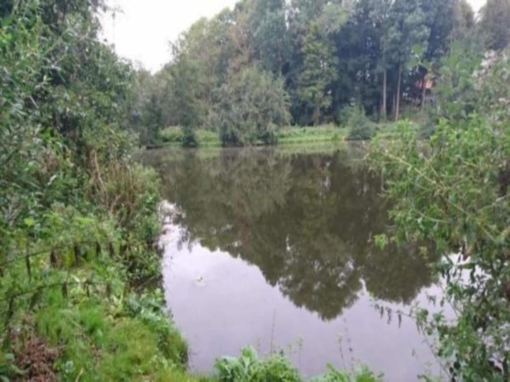 Příroda nedaleko prázdninového domu