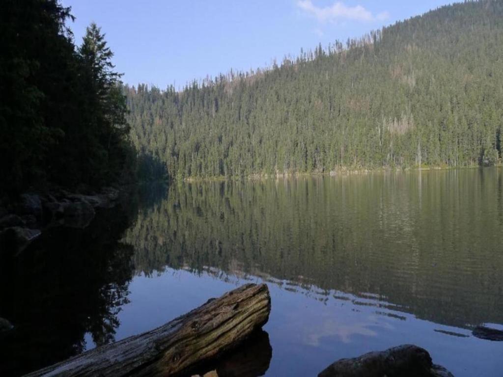 Příroda nedaleko apartmánu