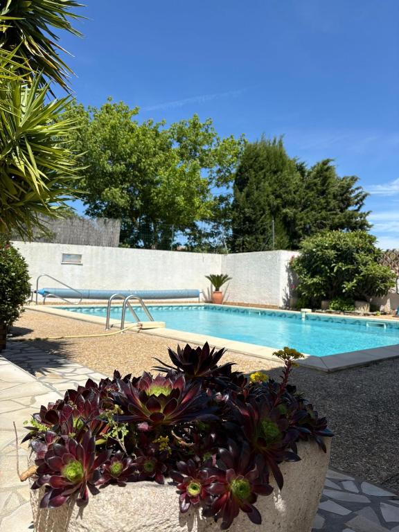 - une piscine avec une piscine dans l'établissement La Closerie, à Laredorte