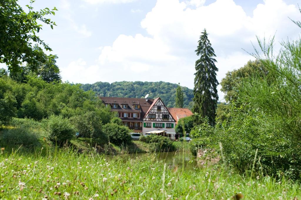 una casa en una colina con un campo y árboles en Auberge d'Imsthal, en La Petite-Pierre