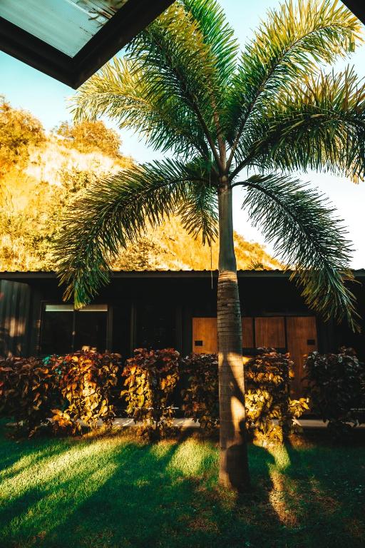 Un jardín fuera de Wao Jungle Venao