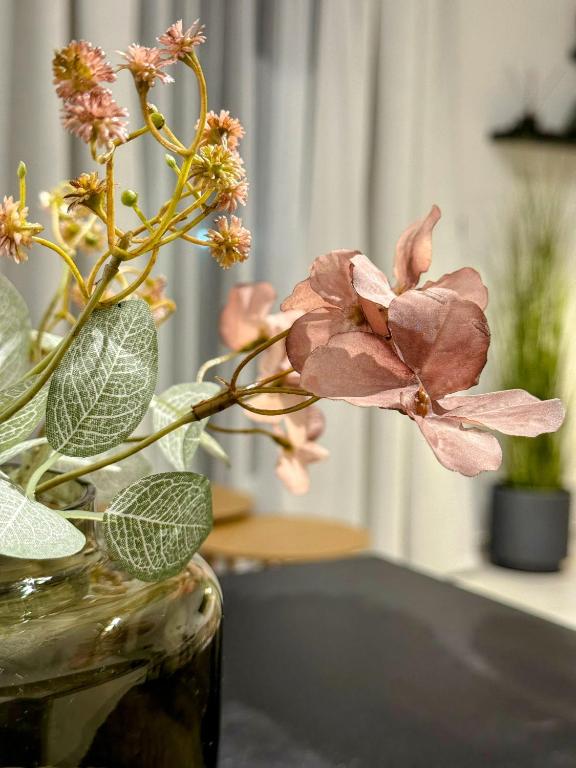 Fotografie z fotogalerie ubytování Canva Living v destinaci Xanthi