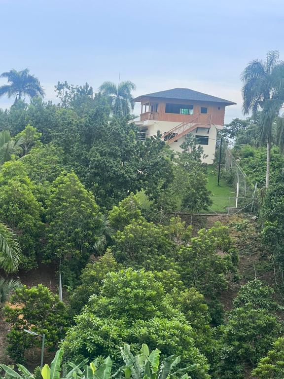 Ein Garten an der Unterkunft Villa para grupos