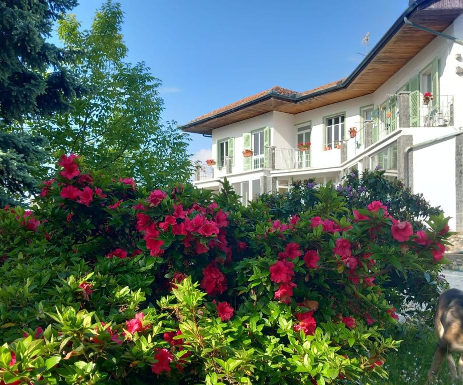 a house with red flowers in front of it at Residenza il Rododendro in Candelo
