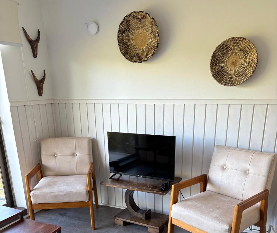 TV a/nebo společenská místnost v ubytování Nice and comfortable apartment in Pucon