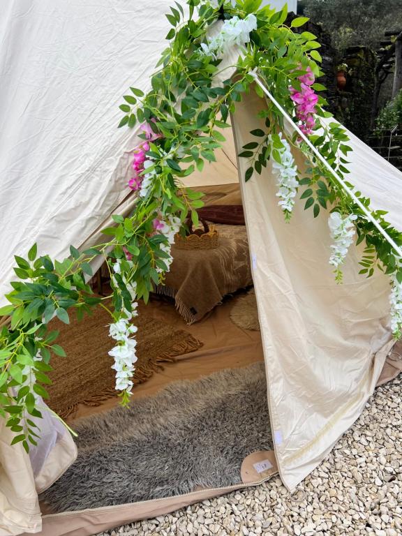 Zahrada ubytování Eco- regenerative bell tent with a pool - near Piódão