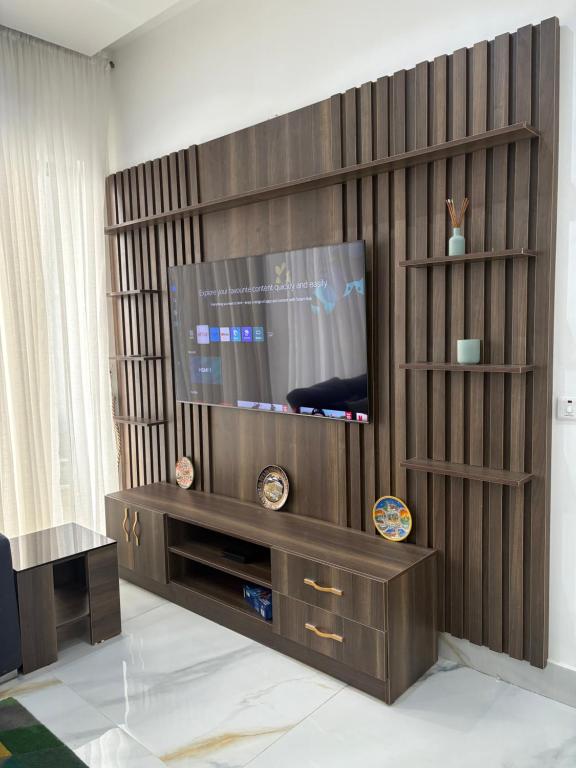 TV a/nebo společenská místnost v ubytování Joy luxury Apartments