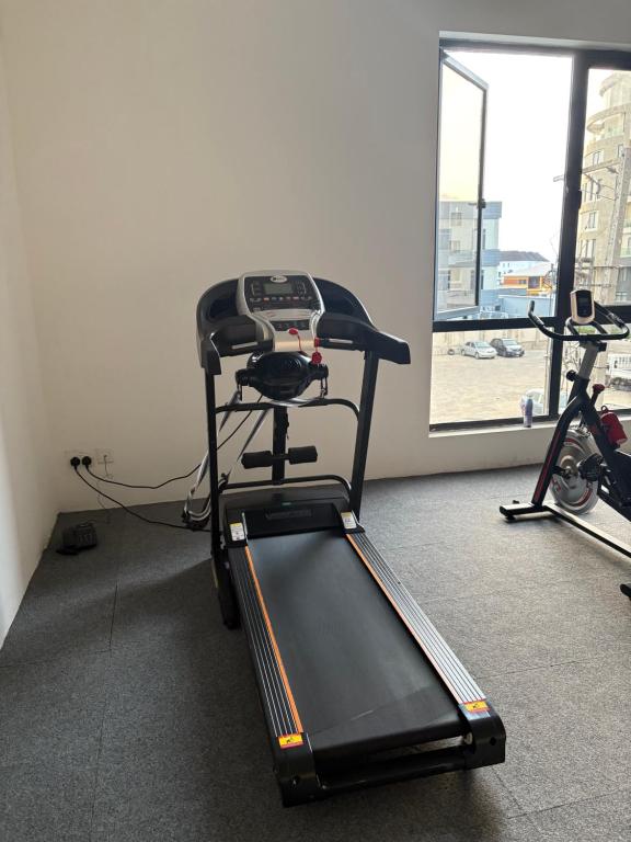 Fitness centrum a/nebo fitness zařízení v ubytování Joy luxury Apartments