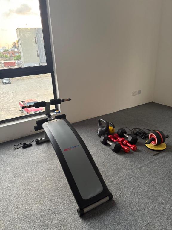 Fitness centrum a/nebo fitness zařízení v ubytování Joy luxury Apartments