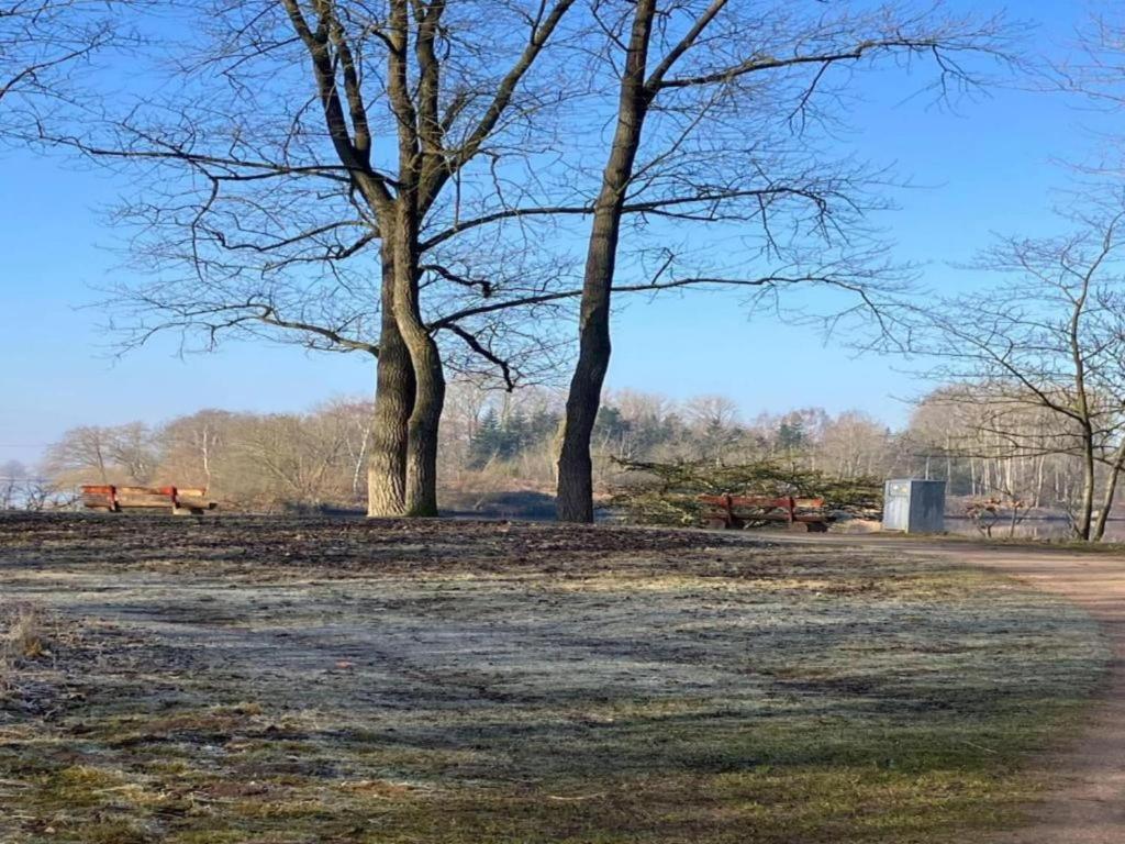 Příroda nedaleko apartmánu