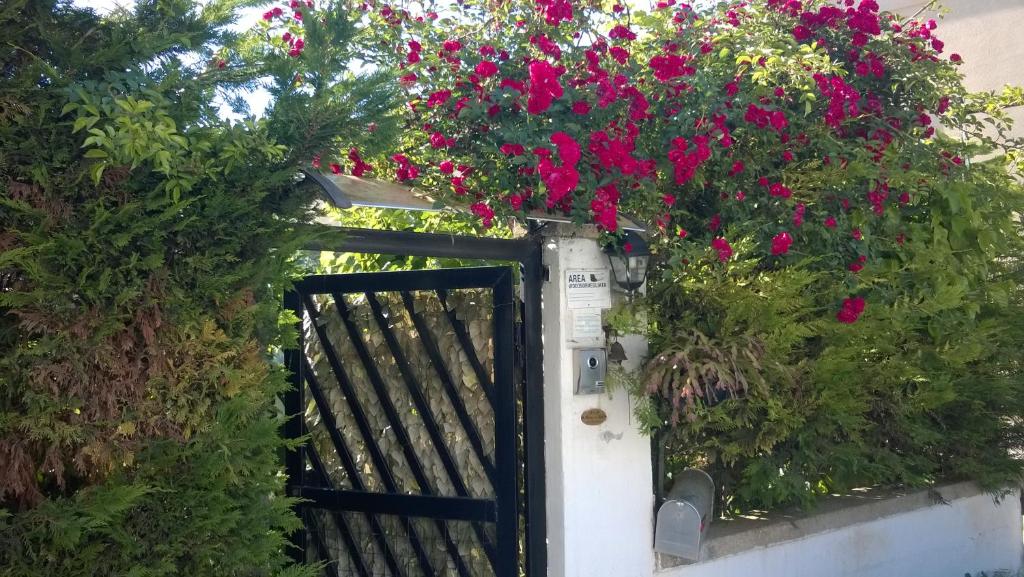 una puerta negra con flores rosas en la pared en B&B Mare E Sole en Brindisi