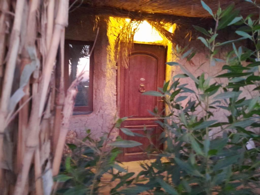 Fotografie z fotogalerie ubytování Giza Oasis Ein Koudra v destinaci ‘Ezbet Ḥanna Ṣâlih