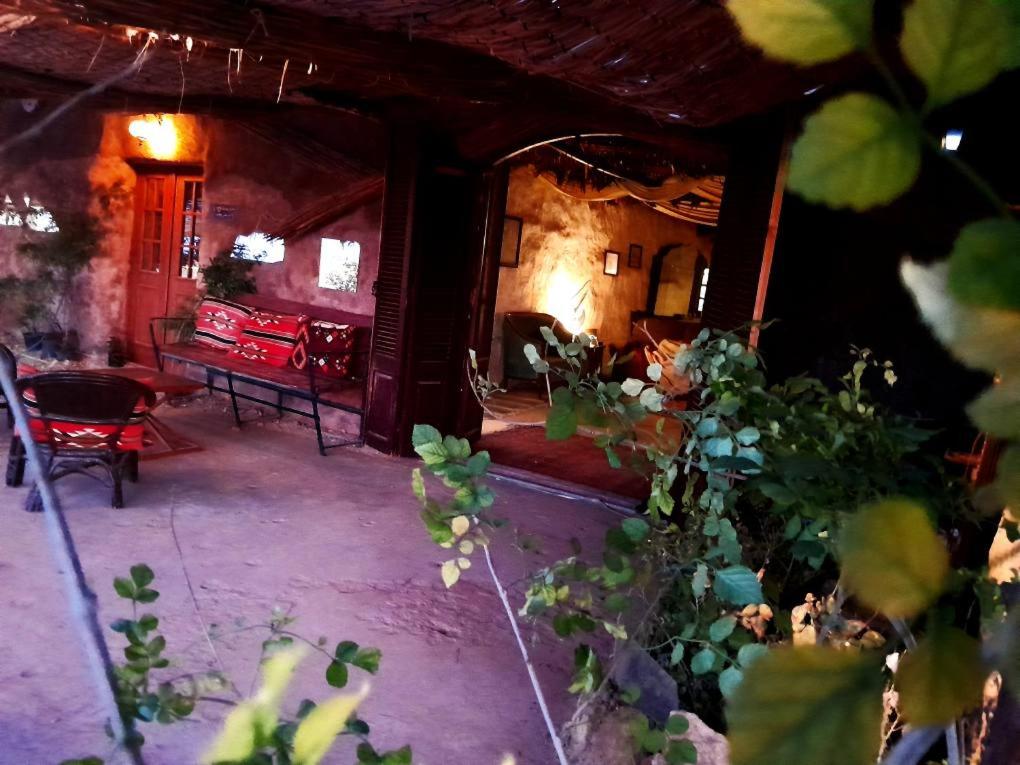 Zahrada ubytování Giza Oasis Ein Koudra